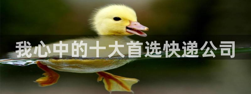 旺财28注册网页版：我心中的十大首选