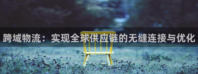 旺财28注册登录链接流程：跨域物流：