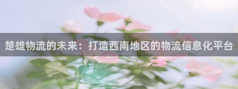 旺财28注册链接：楚雄物流的未来：打
