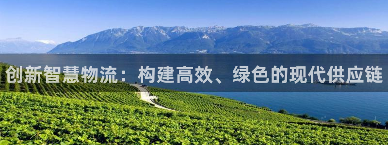 旺财28预测加拿大师准：创新智慧物流