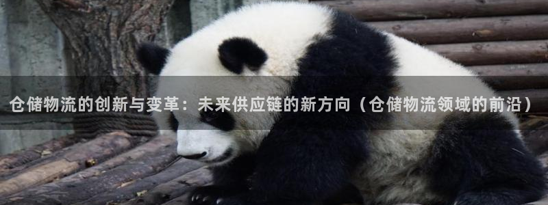 旺财28cn：仓储物流的创新与变革：