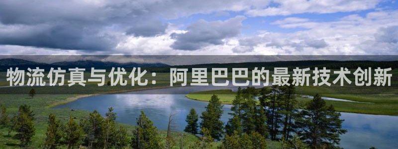 旺财28注册上限是啥意思：物流仿真与