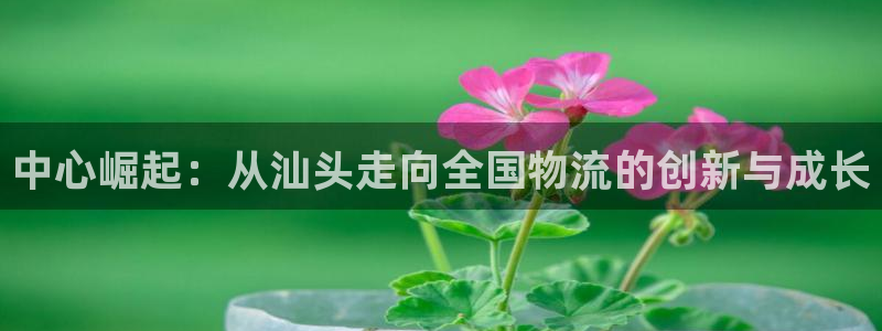 旺财28比特28真实吗