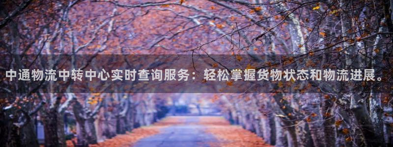 旺财28登录用户名登录不上：中通物流
