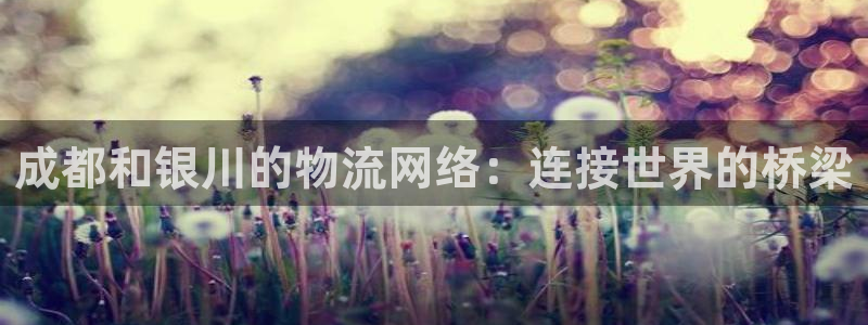 旺财28女王中奖记录查询：成都和银川
