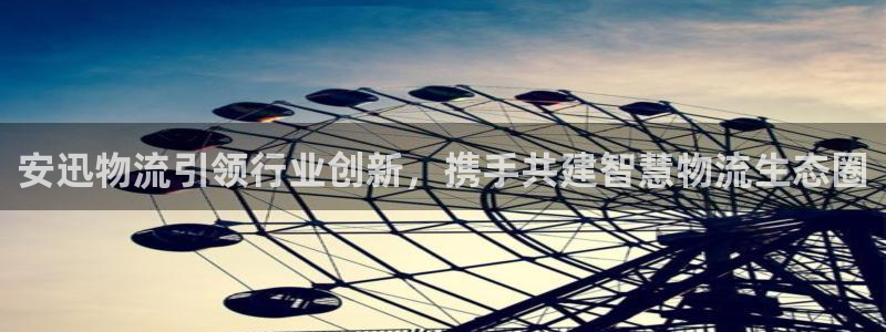 旺财28链接：安迅物流引领行业创新，