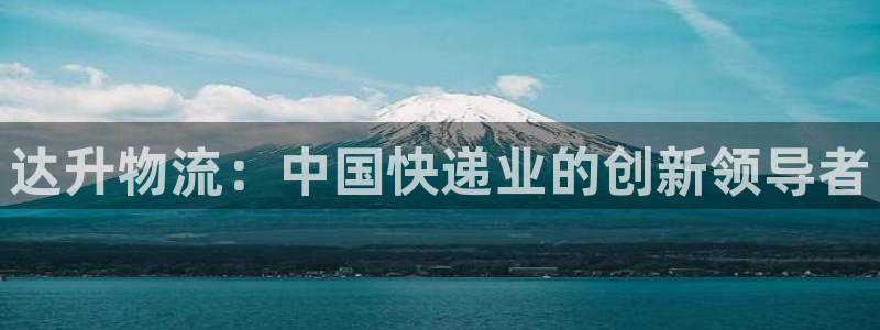 旺财28预测网：达升物流：中国快递业