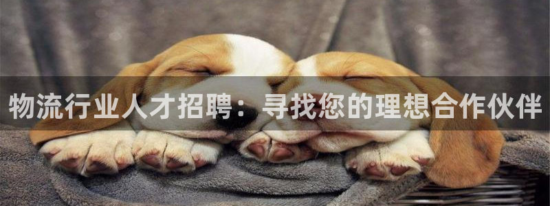 旺财28分分28输了能不能退：物流行