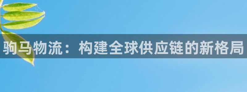 旺财28是什么软件