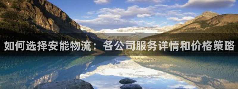 旺财28app怎么注销：如何选择安能