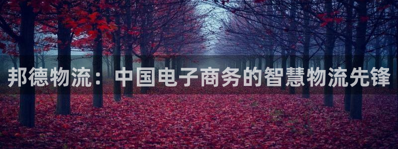 旺财28官网入口app：邦德物流：中