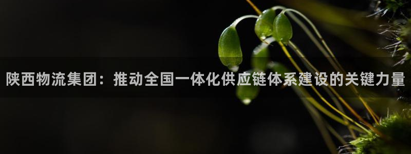 旺财28注册二维码：陕西物流集团：推动全国一体化供应链体系建