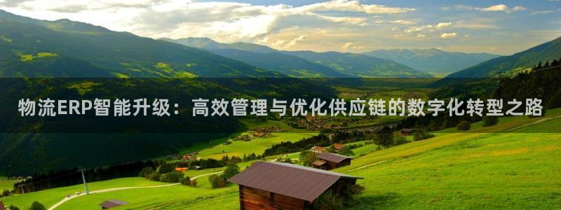 旺财28官网入口pc29官网版：物流
