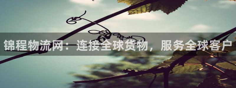旺财28pc预测：锦程物流网：连接全
