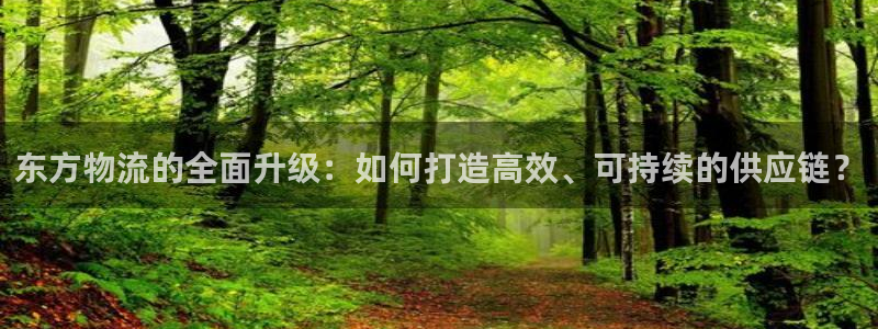 旺财28能提现吗：东方物流的全面升级：如何打造高效、可持续的