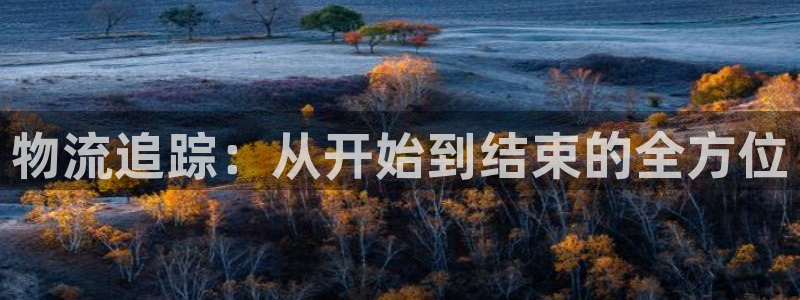 旺财28软件有什么用:物流追踪:从开