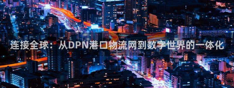 旺财28代理落网:连接全球:从DPN