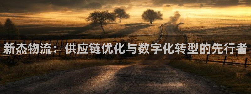 旺财28模拟器:新杰物流:供应链优化