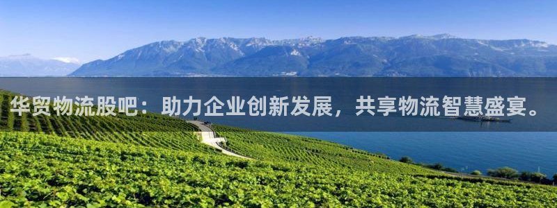 麻将1旺财28：华贸物流股吧：助力企