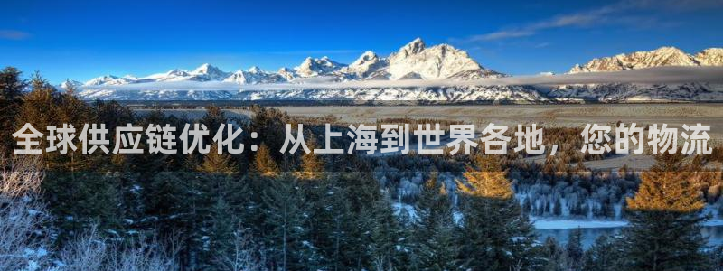 旺财28模拟器下载