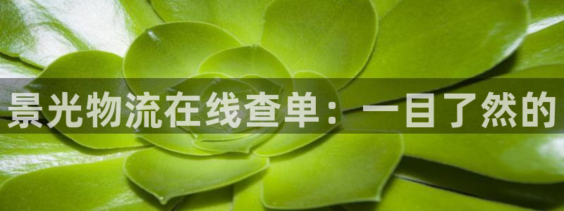 旺财28的平台：景光物流在线查单：一目了然的