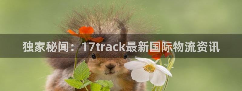 旺财28游戏链接:独家秘闻:17tr