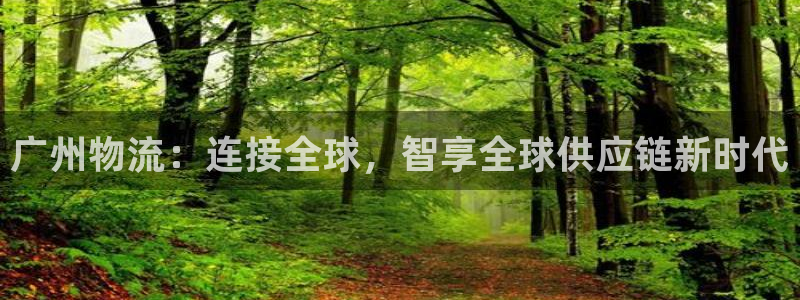 旺财28官网下载链接怎么弄：广州物流