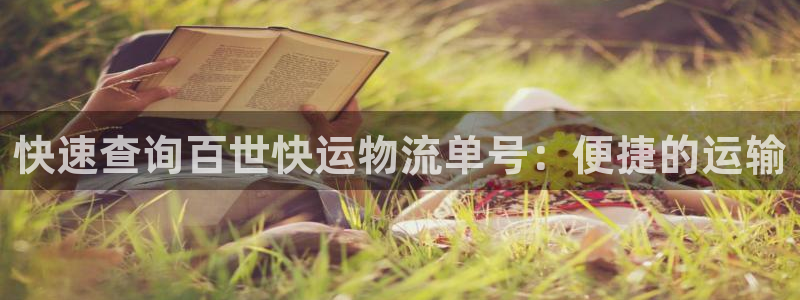 旺财28官网入口：快速查询百世快运物