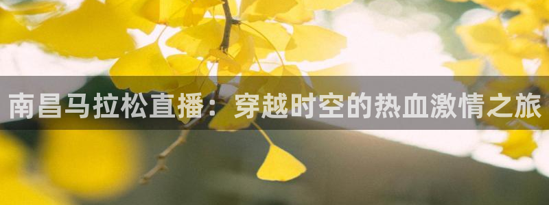 jrkan直播nba直播：南昌马拉松直播：穿越时空的热血激情之旅