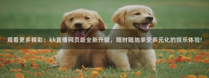 jrkan直播体育nba：观看更多精彩：kk直播网页版全新升级，随时随地享受多元化的娱乐体验!
