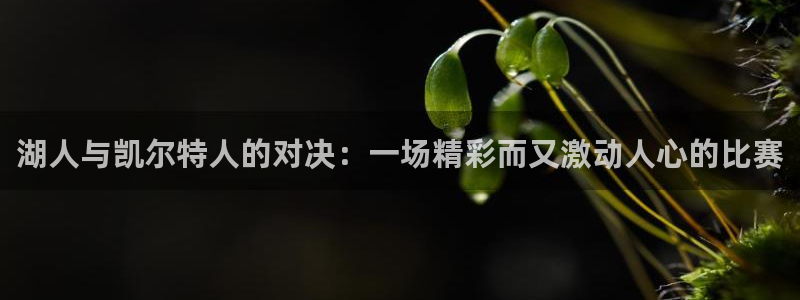jr看球直播网：湖人与凯尔特人的对决：一场精彩而又激动人心的比赛